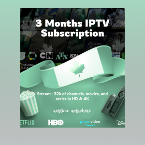 Standard plan – 03 Months